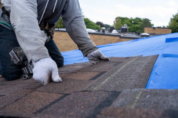 Best Best Roofing Contractors  in Wfield, IN