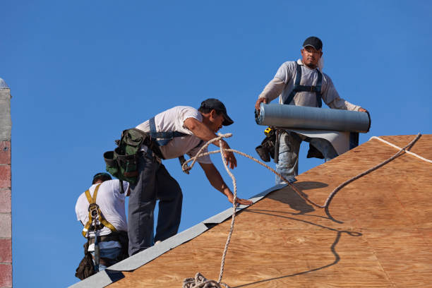 Best Storm Damage Roof Repair  in Wfield, IN